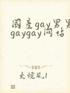 国产gay男男gaygay网站