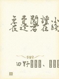 免费阅读小说此夜逢君在线阅读全文