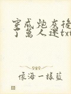 穿成炮灰后我成了万人迷txt