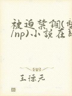 被迫禁锢(双性/np)小说在线阅读封面