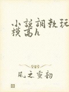 小说调教玩弄嫩模高h