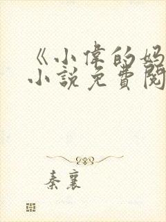 《小伟的妈妈》小说免费阅读