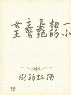 女主长相一般男主惊艳的小说封面