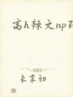 高h辣文np强