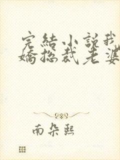 完结小说我的傲娇总裁老婆