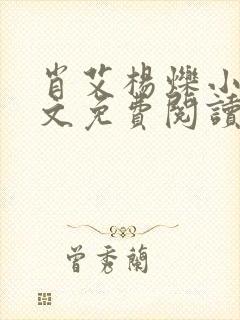 肖艾杨烁小说全文免费阅读笔趣阁封面