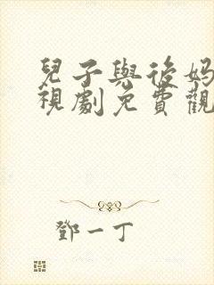 儿子与后妈的电视剧免费观看封面