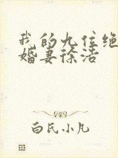 我的九位绝色未婚妻徐浩封面