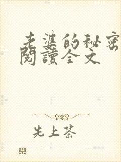 老婆的秘密小说阅读全文