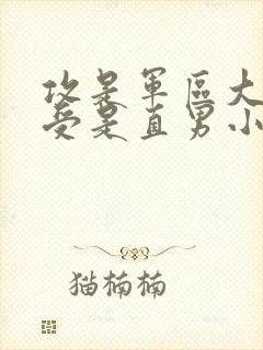 攻是军区大佬,受是直男小说