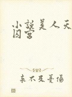 小说美人天下之囚宫