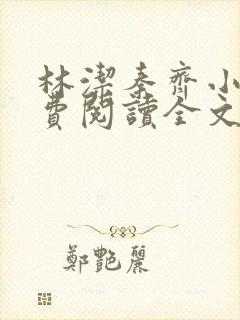 林洁秦齐小说免费阅读全文封面