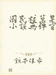 国民校草是女生小说无弹窗全文免费阅读封面