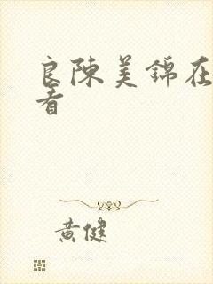 良陈美锦在线观看封面