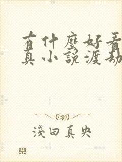 有什么好看的修真小说渡劫一类小说