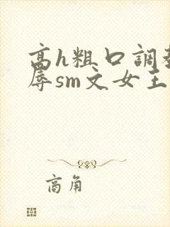 高h粗口调教羞辱sm文女王动画封面