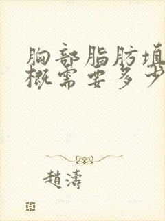 胸部脂肪填充大概需要多少钱