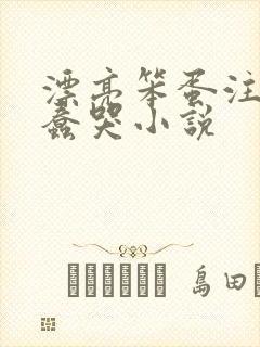 漂亮笨蛋注定被蠢哭小说