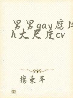 男男gay腐片h大尺度cv