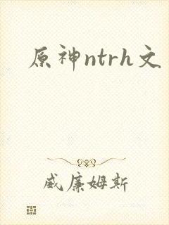 原神ntrh文
