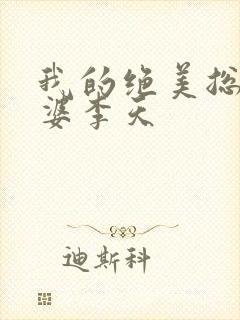 我的绝美总裁老婆李天