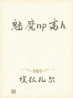 魅魔np高h
