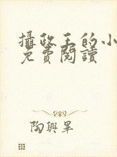 摄政王的小殿下免费阅读