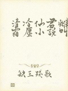 清冷仙君雌堕白霜尘小说叫什么名字