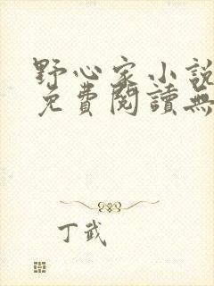 野心家小说全文免费阅读无弹窗封面