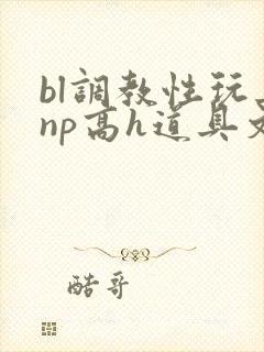 bl调教性玩具np高h道具文