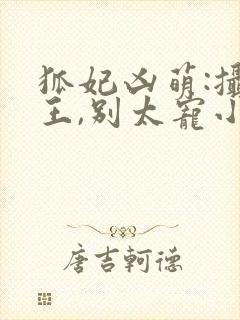 狐妃凶萌:摄政王,别太宠小说