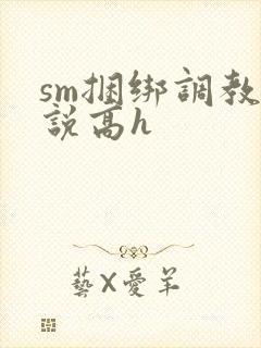 sm捆绑调教小说高h