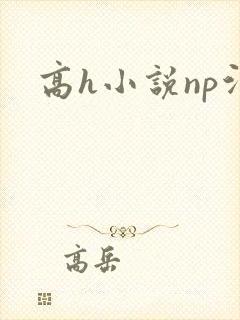 高h小说np污