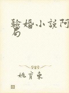 验婚小说阿龟结局