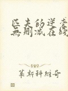 匹夫的逆袭小说无删减在线阅读