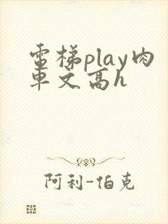 电梯play肉车文高h