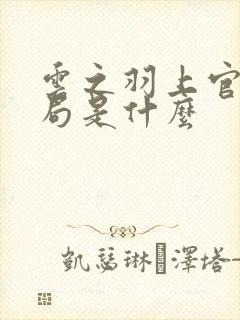 云之羽上官浅结局是什么