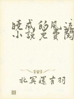 晓成的风流人生小说免费阅读下载