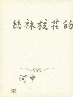 丝袜校花的呻吟