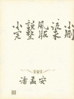 小说风流小傻医完整版未删减小说