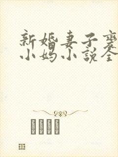 新婚妻子变成了小妈小说全文阅读