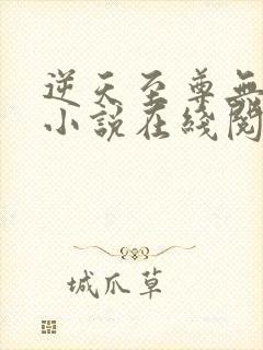 逆天至尊无删减小说在线阅读