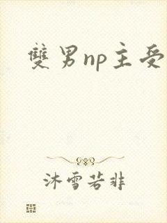 双男np主受