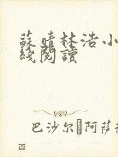 苏晴林浩小说在线阅读