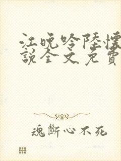 江晚吟陆怀璟小说全文免费阅读