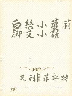 白丝小萝莉玉足脚交小说