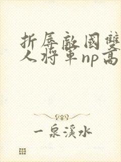 折辱敌国双性美人将军np高h
