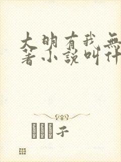 大明有我无清原著小说叫什么名字封面