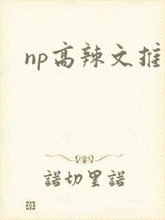 np高辣文推荐封面