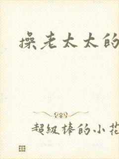 操老太太的老逼